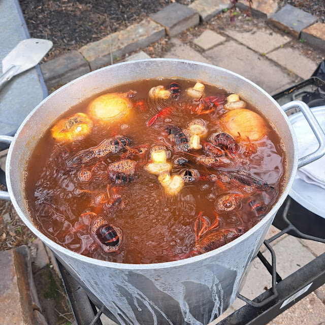Boiling Crawfish