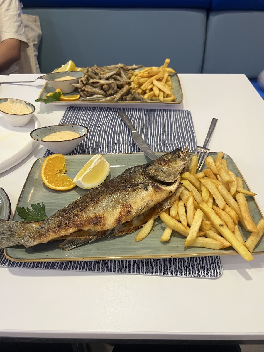 Barbarossa CMC Fisch - Hanau