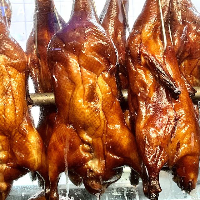 roast duck 明爐燒鴨