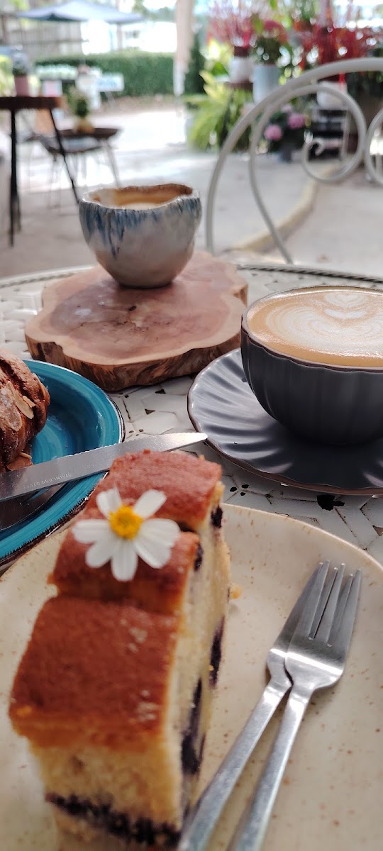 Bloome Cafe