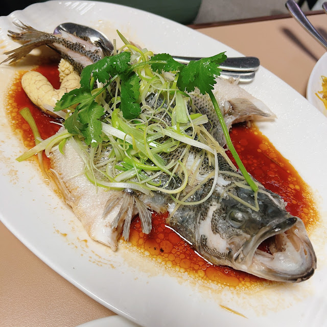Steamed Garoupa in Soya Sauce 清蒸青斑