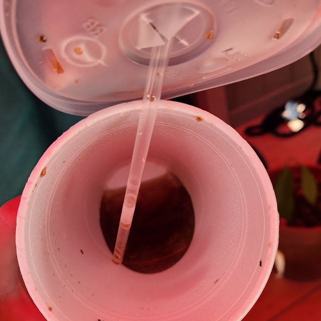 Ants in Soda