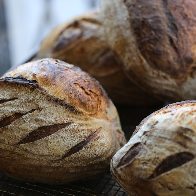 Side House Made Sourdough Toast