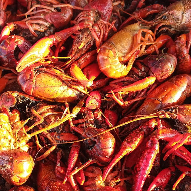 Crawfish