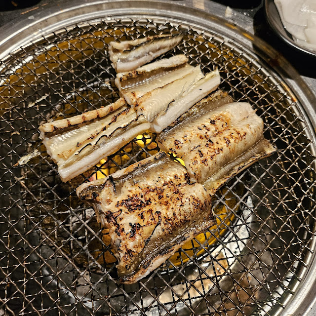 Sea Eel