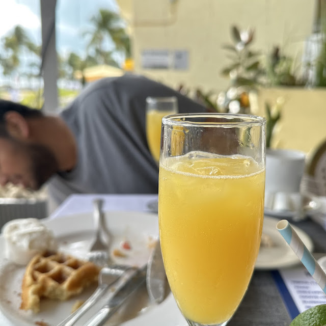 Mimosa