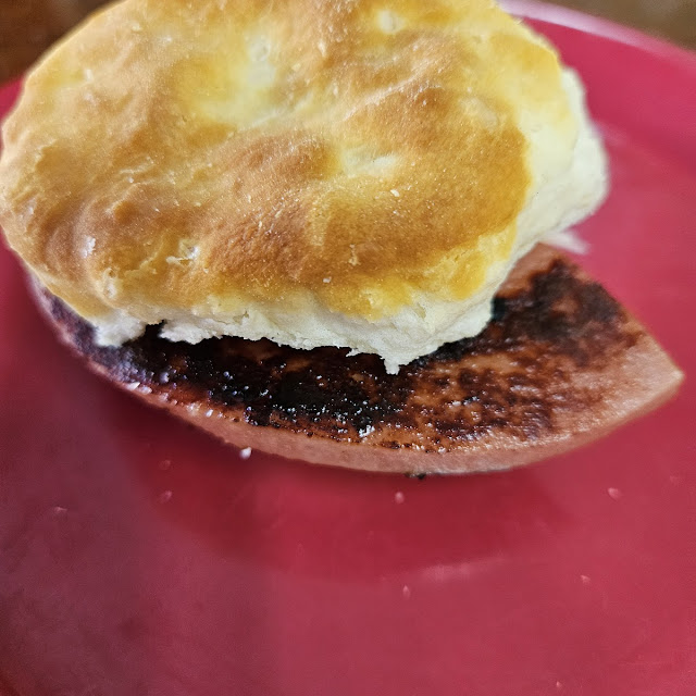 Bologna Biscuit