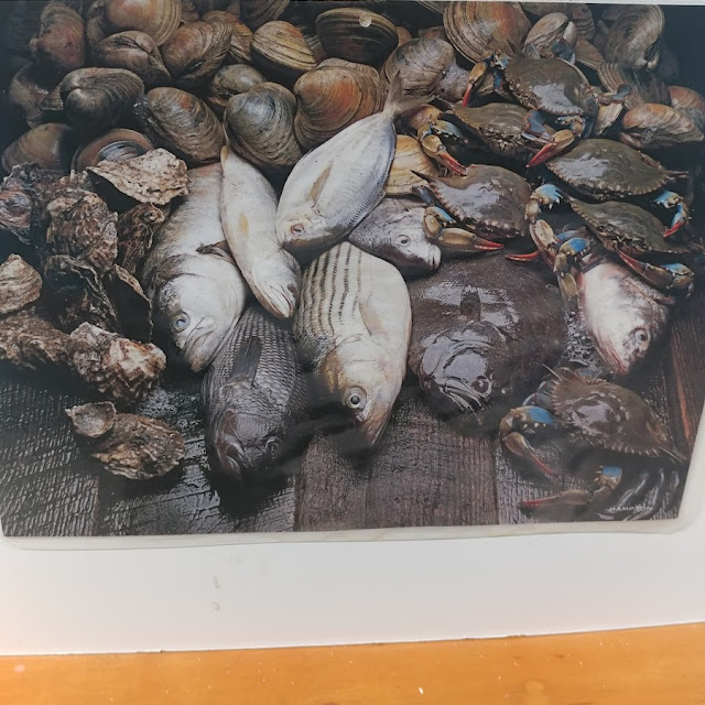 Striped Bass