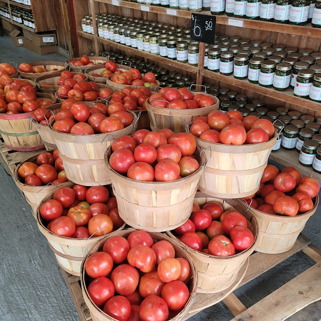 Tomatoes