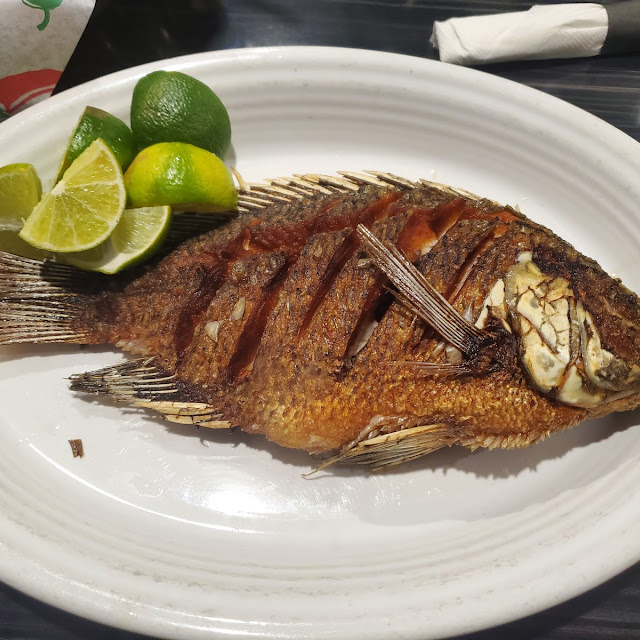 Tilapia