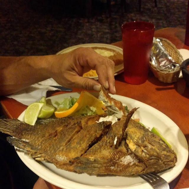 Tilapia Fish