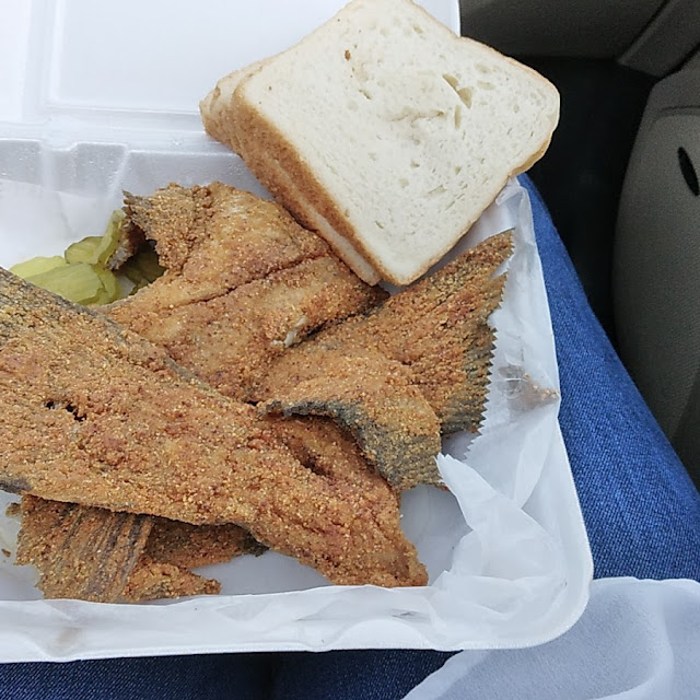 Catfish Tails