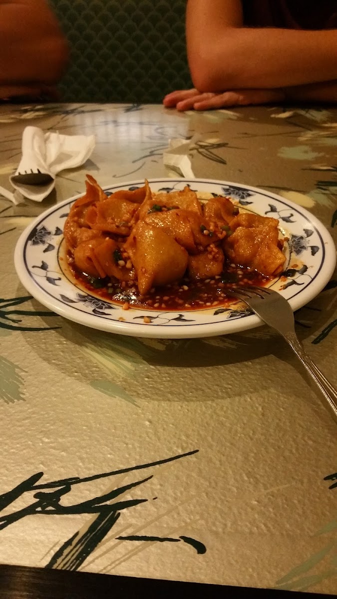 China Light