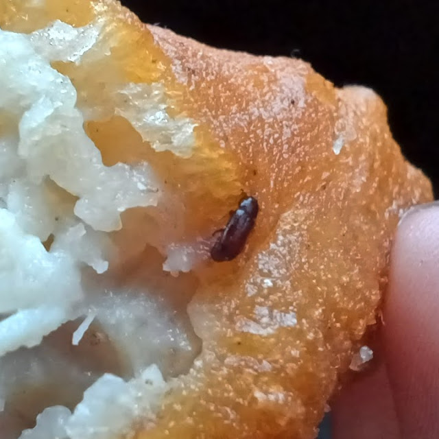 Croquetas Chines