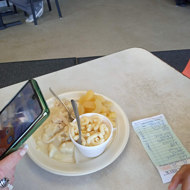 Chicken Dumplings