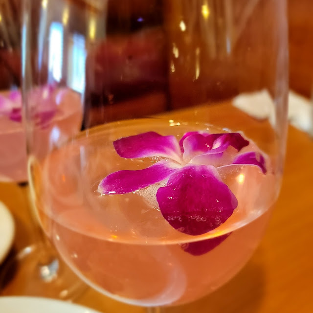 Prickly Pear Mimosa