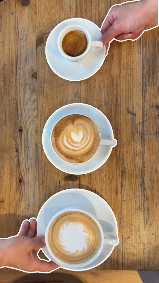 Concelia Coffee GmbH
