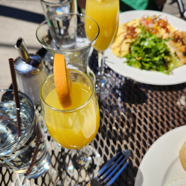 Mimosa