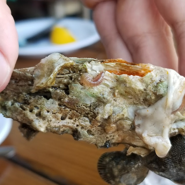Raw Oysters