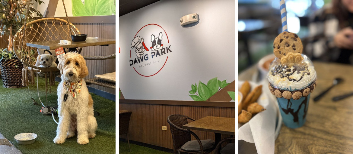 Dawg Park