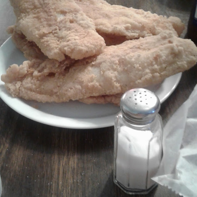 Catfish Fillets
