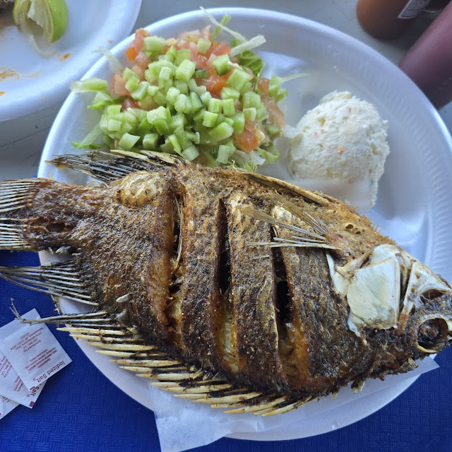 Tilapia