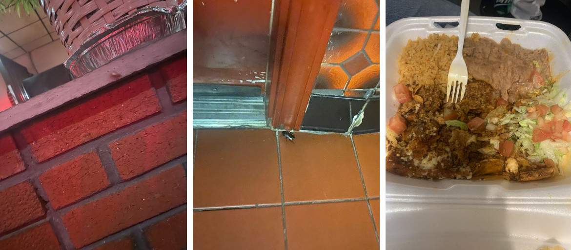 El Taco Real