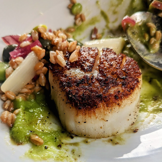 Sea Scallops