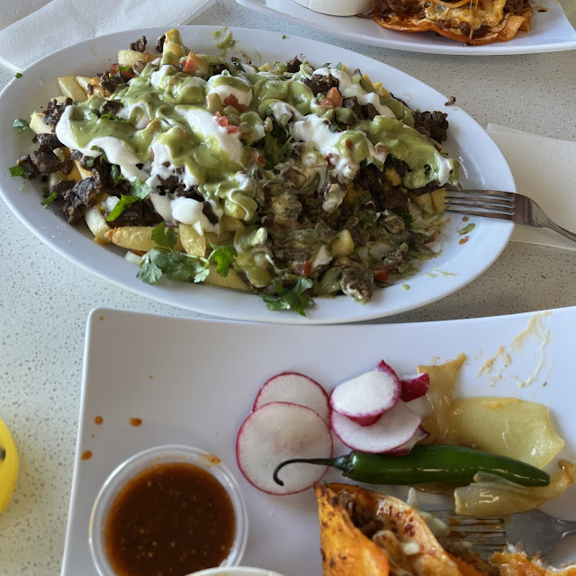 Al Pastor Carnitas Nachos Delux