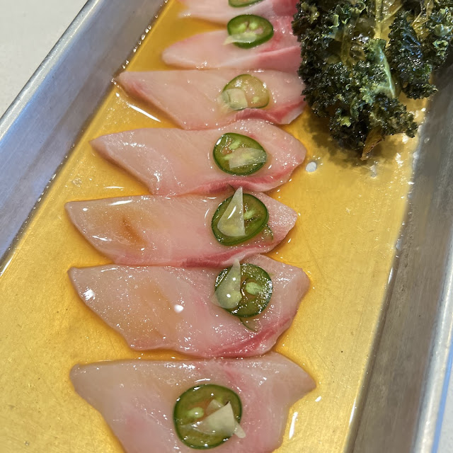 Albacore