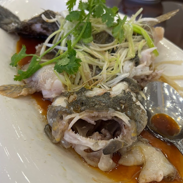 steamed live grouper 清蒸游水花斑鱼