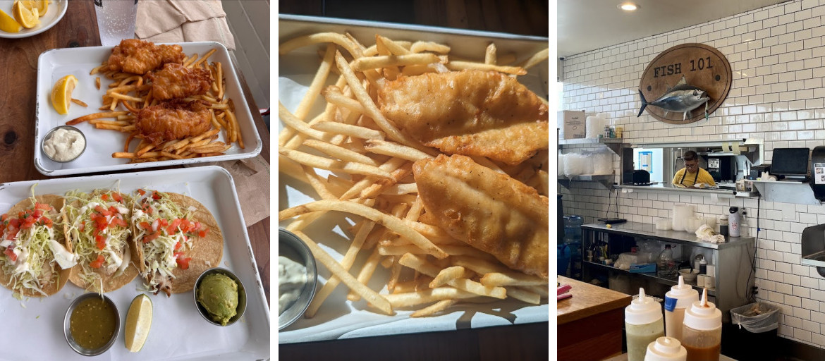 Fish 101 Cardiff