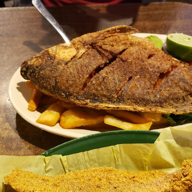 Tilapia