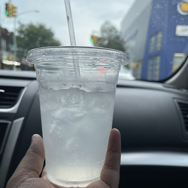 Homemade Lemonade