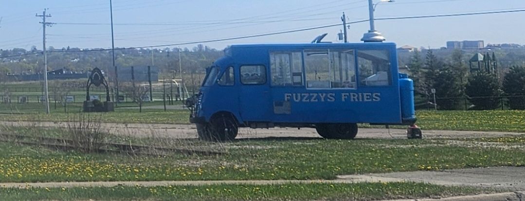 Fuzzy's Fries