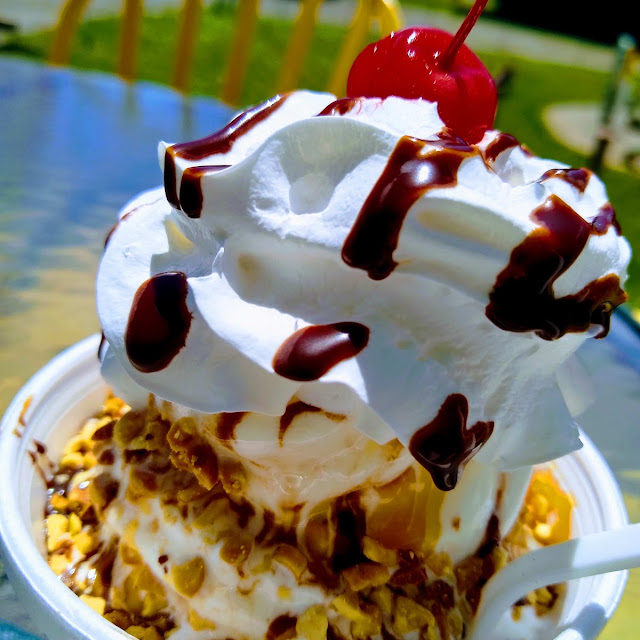 Turtle Sundae