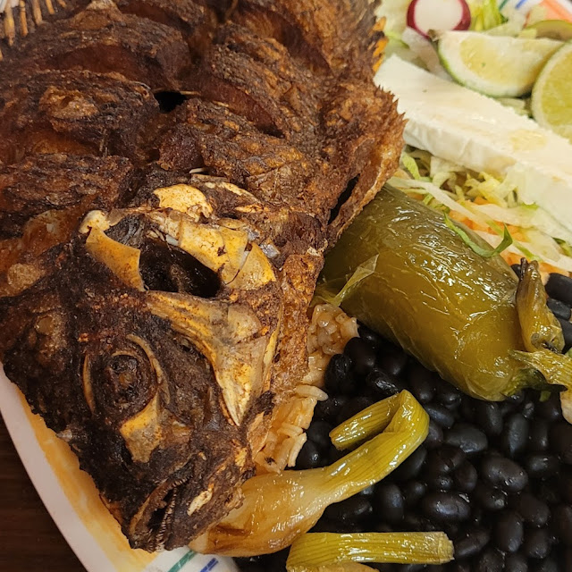 Tilapia