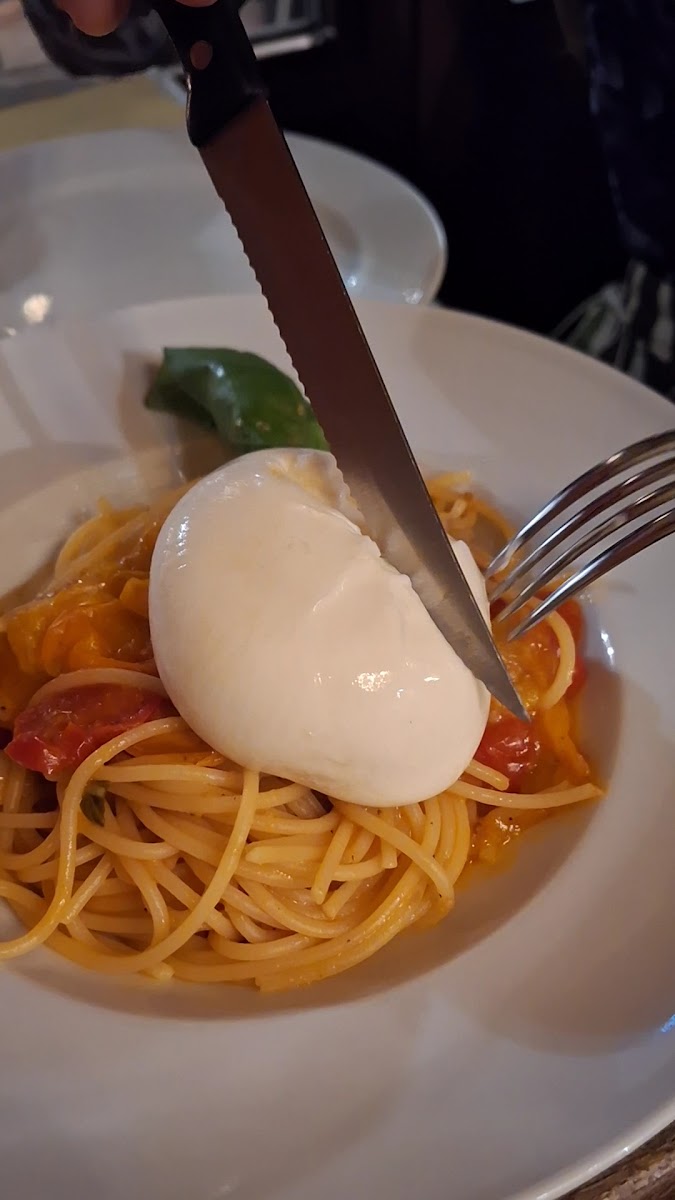 Gustaosteria