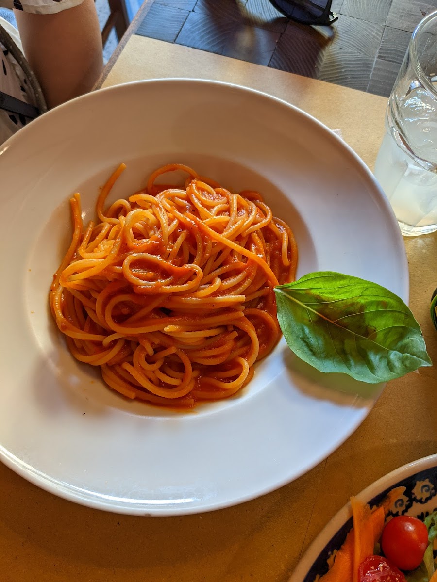 Gustaosteria