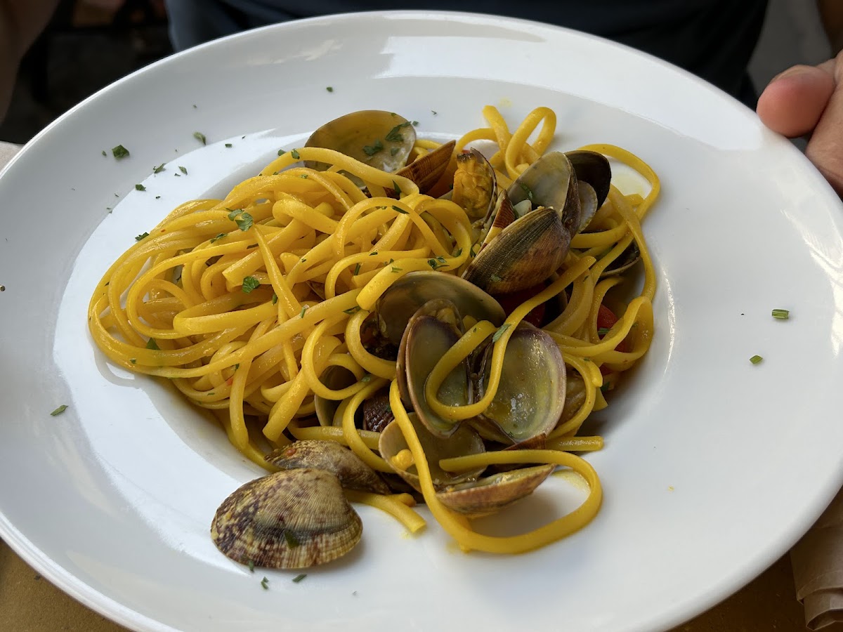 Gustaosteria