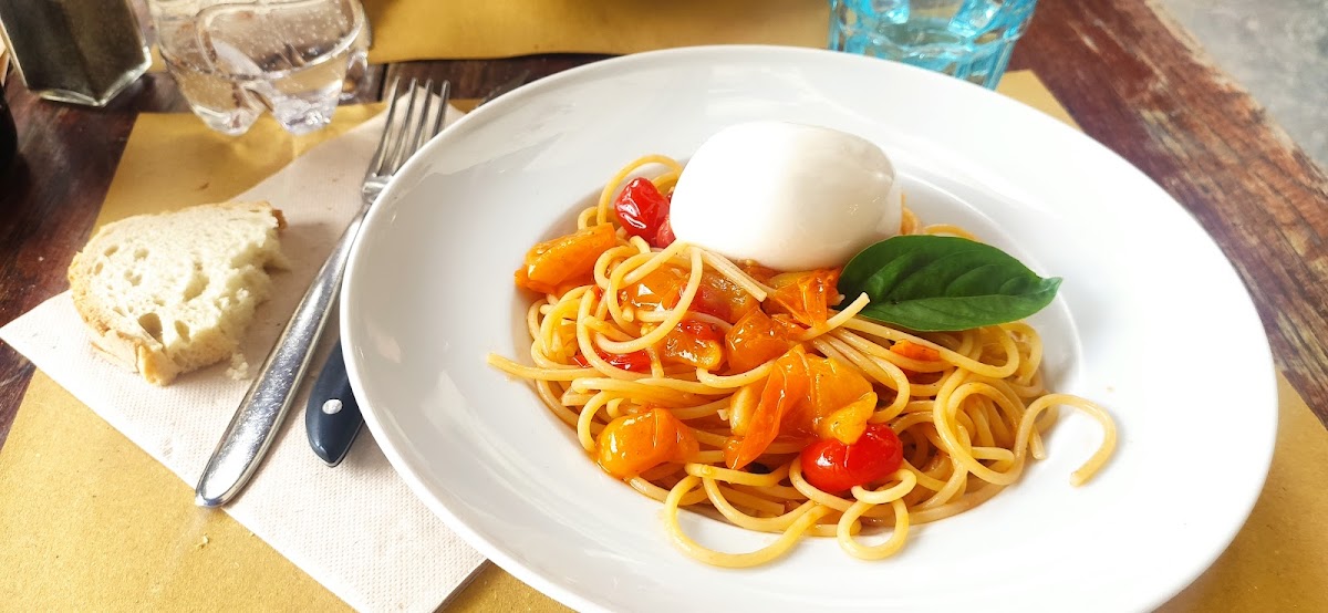 Gustaosteria