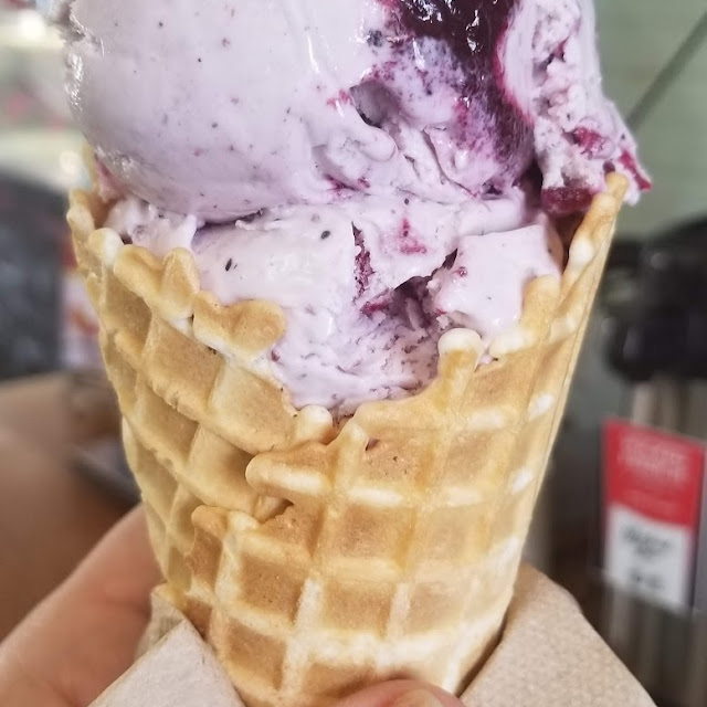 Wild Maine Blueberry Ice Cream