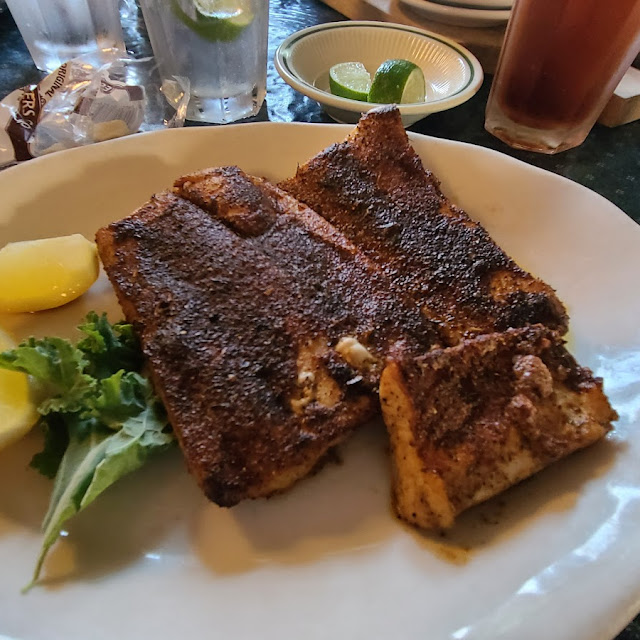 Dolphin Blackened