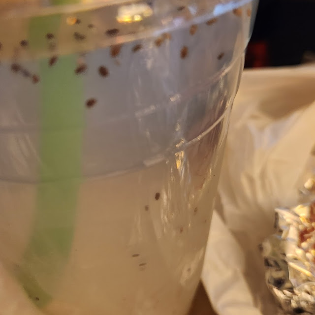 Cucumber Aguas Frescas with Chia Seeds