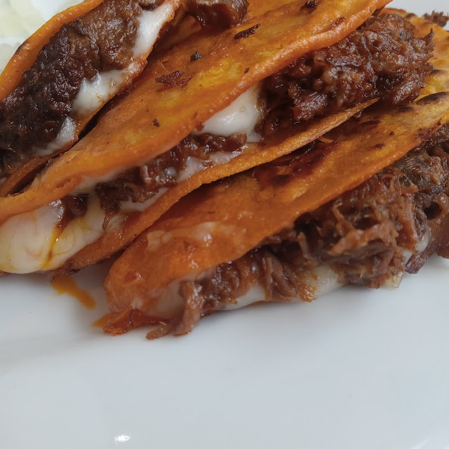 Wet Quesadilla