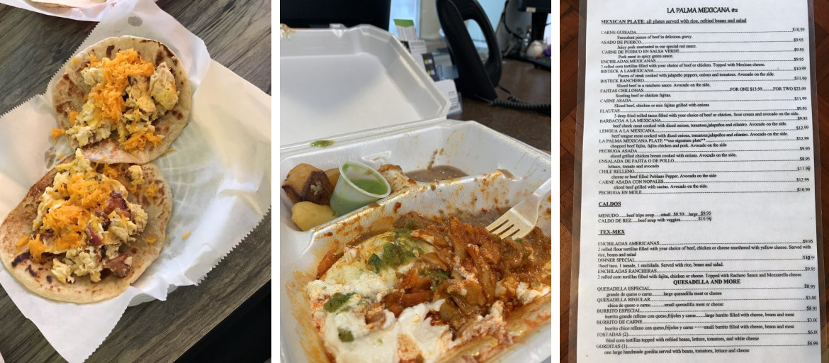 La Palma Mexicana 2