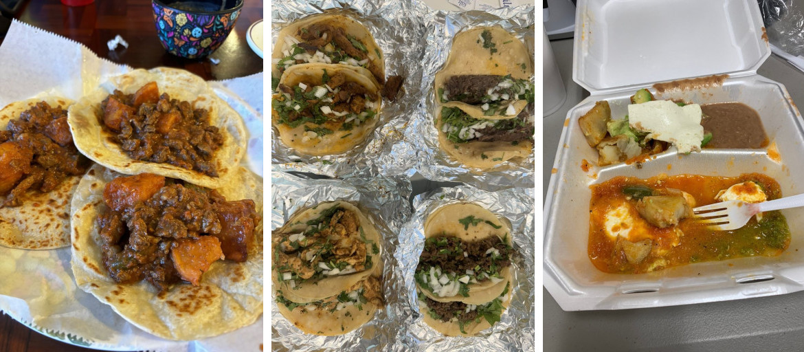 La Palma Mexicana 2