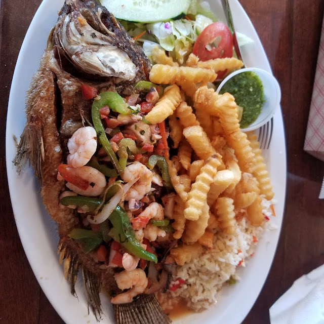 Tilapia