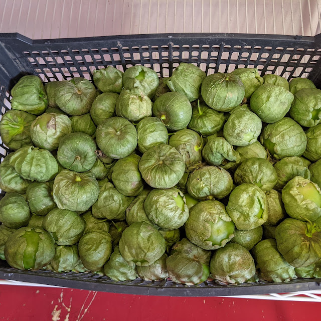 Tomatillo Verde