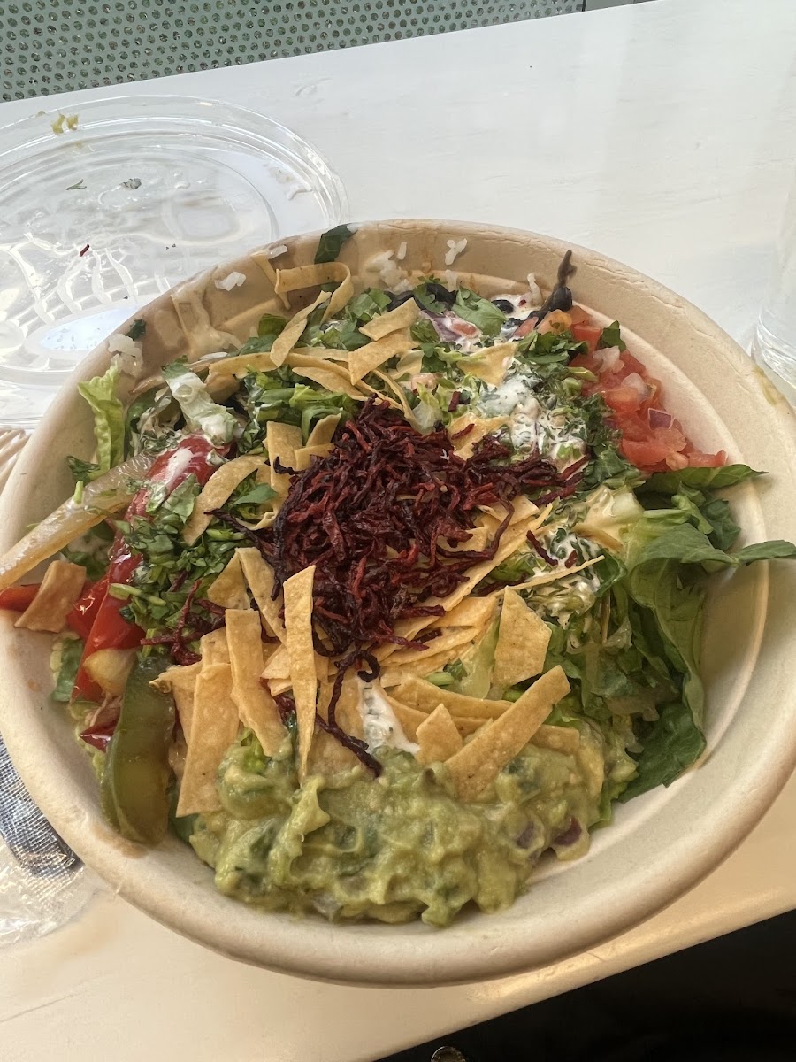 Maizal Latin American Street Food